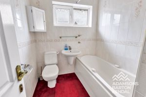 Photo 11- click for photo gallery